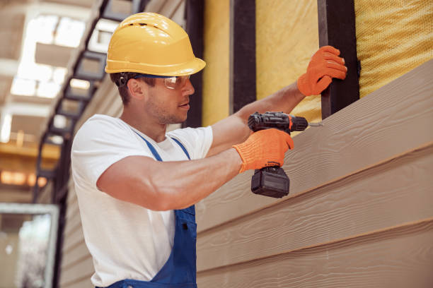 Best Custom Trim and Detailing for Siding  in Bemidji, MN